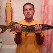 ���������� �����, ���� ������� �����, 44 ����, ������������ ��� ������, ����� � ���������, c�������� ���������