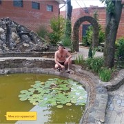  ,   , 50 ,   ,   , c 