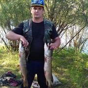 ���������� ��������, ������� ����, 51