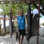 ���������� ������, ���� ������� ���������, 45 ���, ������������ ��� ������, ����� � ���������