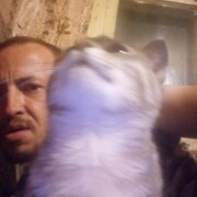  ,   , 38 ,   ,   , c , 