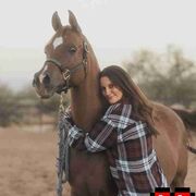 ���������� ����, ���� ������� ������, 44 ����, ������������ ��� c�������� ���������, ���������