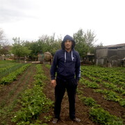  -,   Vova, 41 ,   ,   , c 