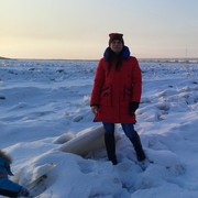 ���������� ���������, ���� ������� �����, 36 ���, ������������ ��� ������, ����� � ���������, c�������� ���������