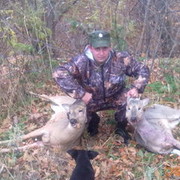 ���������� ��������, ���� ������� ������, 41 ���, ������������ ��� ����� � ���������, c�������� ���������