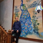 ���������� ����, ���� ������� ������, 36 ���, ������������ ��� c�������� ���������