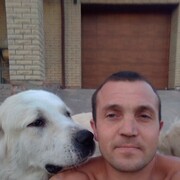 ���������� ���������, ���� ������� ������, 40 ���, ������������ ��� ������, ����� � ���������, c�������� ���������