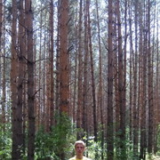 ���������� ���������, ���� ������� ������, 36 ���, ������������ ��� ������, ����� � ���������, c�������� ���������