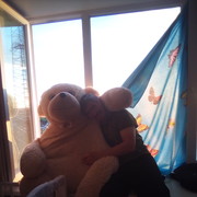 ���������� �������, ������� ����, 43