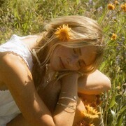 ���������� �����, ����