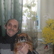  -,   , 49 ,   
