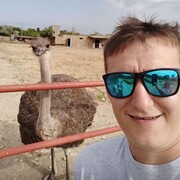 ���������� ��������, ���� ������� �������, 40 ���, ������������ ��� ������, ����� � ���������, c�������� ���������