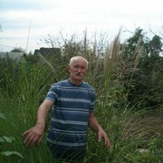 ���������� ��������������, ���� ������� ��������, 72 ����, ������������ ��� ������, ����� � ���������, c�������� ���������