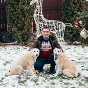 ���������� ����, ���� ������� ����, 44 ����, ������������ ��� ������, ����� � ���������, c�������� ���������