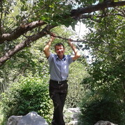  ,   , 53 ,   ,   
