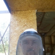  ,   , 50 ,   ,   , c , 
