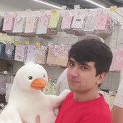 ���������� ������, ���� ����� �����, 24 ����, ������������ ��� ������, ����� � ���������