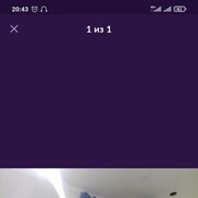  -,    , 44 ,   ,   