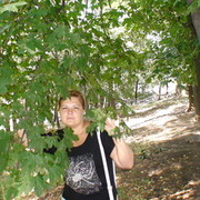 ���������� ������, ���� ������� �����, 46 ���, ������������ ��� ������, ����� � ���������, c�������� ���������