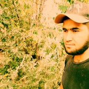 ���������� �����-���������, ���� ������� �������, 31 ���, ������������ ��� ������, ����� � ���������, c�������� ���������, ���������