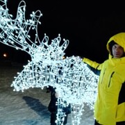 ���������� �����������, ���� ������� �����, 33 ����, ������������ ��� ����� � ���������, c�������� ���������