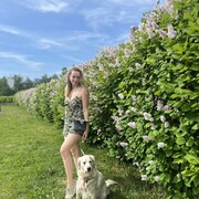 ���������� ������, ���� ������� �����, 40 ���, ������������ ��� ������, ����� � ���������, c�������� ���������