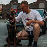 ���������� �����, ���� ������� ��������, 31 ���, ������������ ��� ������, ����� � ���������, c�������� ���������, ���������