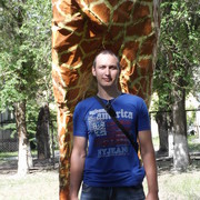 ���������� ���������, ������� ���������, 36