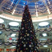 ���������� �����, ���� ������� ����, 49 ���, ������������ ��� ������, ����� � ���������, c�������� ���������