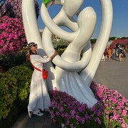 ���������� ������, ���� ������� �������, 43 ����, ������������ ��� ������, ����� � ���������, c�������� ���������