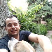 ���������� ��������������, ���� ������� ���������, 43 ����, ������������ ��� ����� � ���������, c�������� ���������