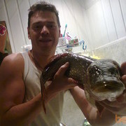 ���������� ����, ���� ������� ���������, 47 ���, ������������ ��� ������