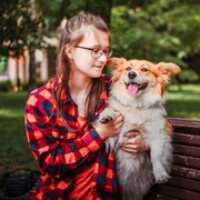 ���������� ������, ���� ������� ������, 23 ����, ������������ ��� c�������� ���������, ���������