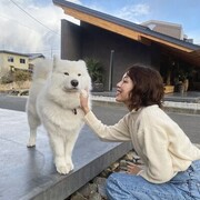 ���������� Kwangju, ���� ������� ���, 26 ���, ������������ ��� ������, ����� � ���������, ���������