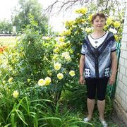  ,   , 60 ,   ,   