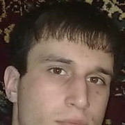  --,    , 37 ,   , 