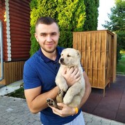 ���������� �����, ���� ������� ���������, 40 ���, ������������ ��� ������, ����� � ���������, c�������� ���������