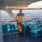 ���������� ������, ���� ������� �������, 36 ���, ������������ ��� ������