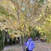 ���������� ���������, ���� ������� ������, 53 ����, ������������ ��� ������, ����� � ���������, c�������� ���������, ���������