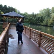  ,   , 28 ,   c 