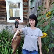  ,   , 55 ,  