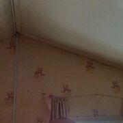 ���������� ���������, ���� ������� �������, 48 ���, ������������ ��� ����� � ���������, c�������� ���������, ���������