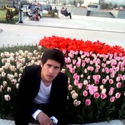  ,   Roma, 31 ,   