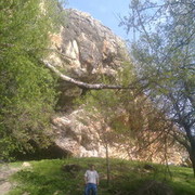  ,   , 44 ,   ,   , c , 