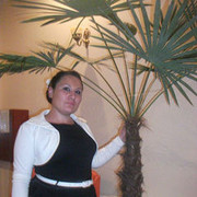 ���������� ������, ���� ������� DIANA, 38 ���, ������������ ��� ������, ����� � ���������, c�������� ���������