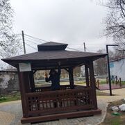  ,   , 37 ,   ,   