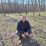  --,   , 46 ,   ,   , 