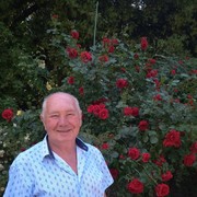  ,   Valera, 69 ,   
