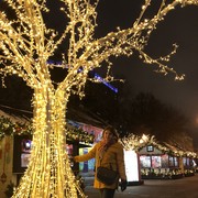 ���������� ��������, ���� ������� �������, 40 ���, ������������ ��� ������, ����� � ���������, c�������� ���������