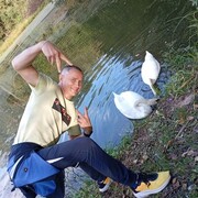 ���������� ������, ���� ������� ���������, 42 ����, ������������ ��� ����� � ���������, c�������� ���������